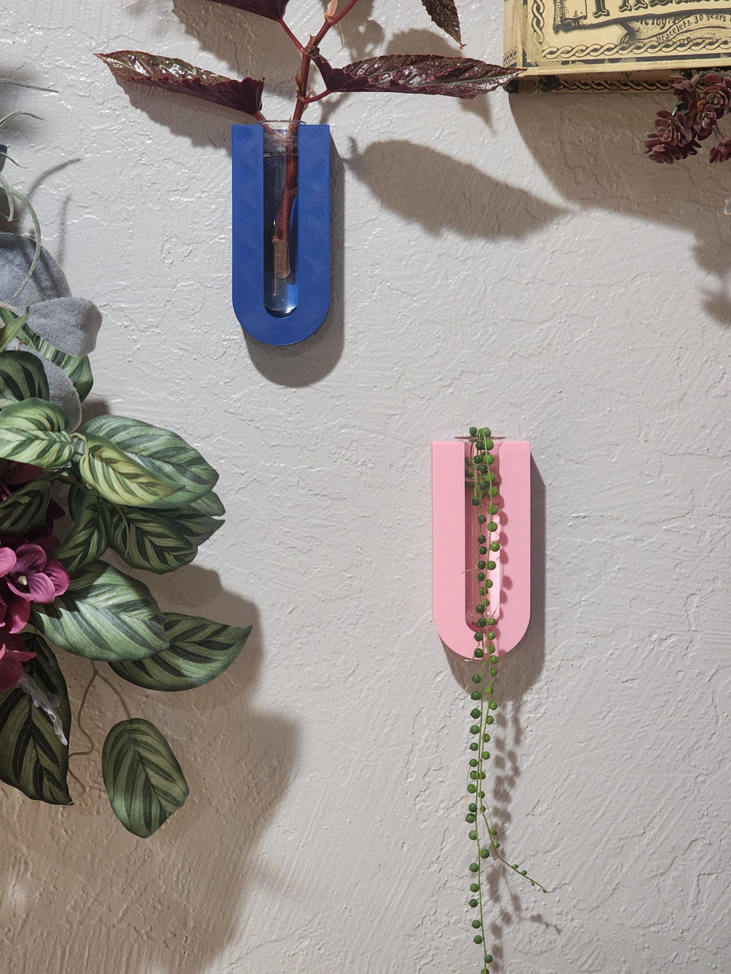 Wall Mount Plant Propagation Planter, Glass Propagating Tubes, Boho Decor Great Gift Idea Plant Lovers , propagate