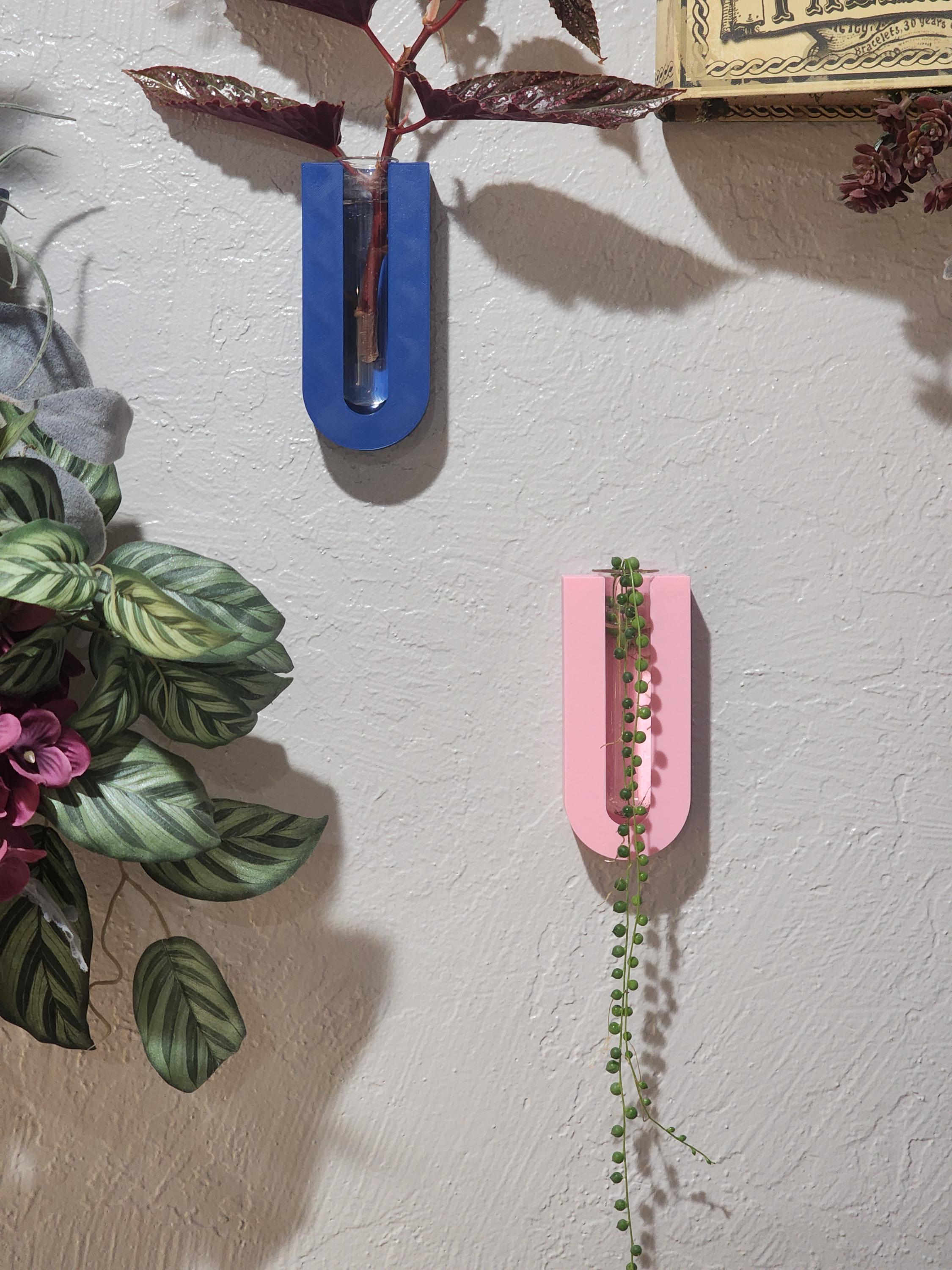 Wall Mount Plant Propagation Planter: Boho Decor with Glass Tube