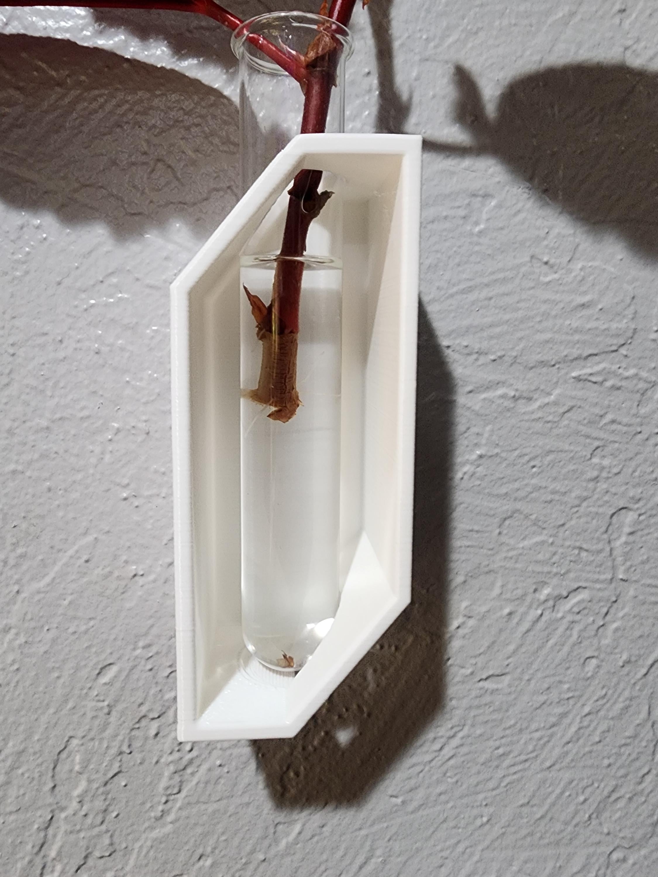 Wall Mount Plant Propagation Planter, Glass Propagating Tubes, Boho Decor Great Gift Idea Plant Lovers , propagate