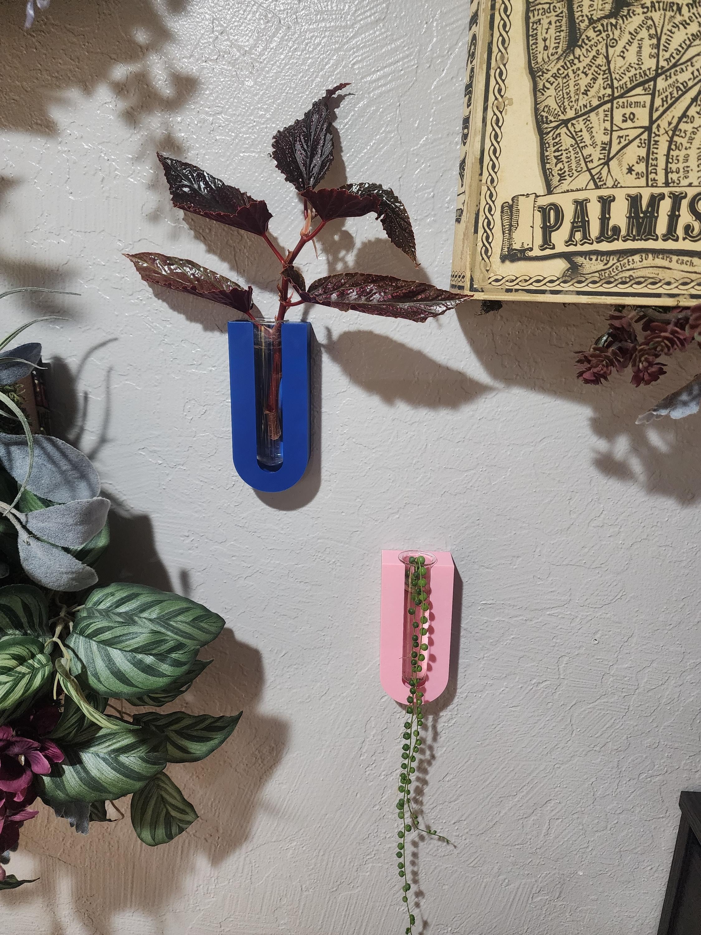 Wall Mount Plant Propagation Planter: Boho Decor with Glass Tube