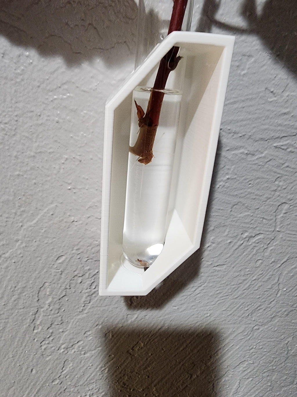 Wall Mount Plant Propagation Planter, Glass Propagating Tubes, Boho Decor Great Gift Idea Plant Lovers , propagate