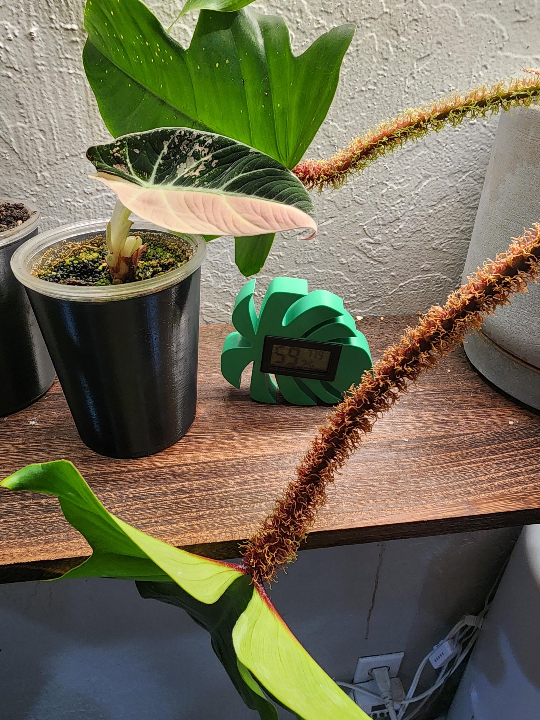 Monstera Leaf Hygrometer: Magnetic Plant Humidity Monitor