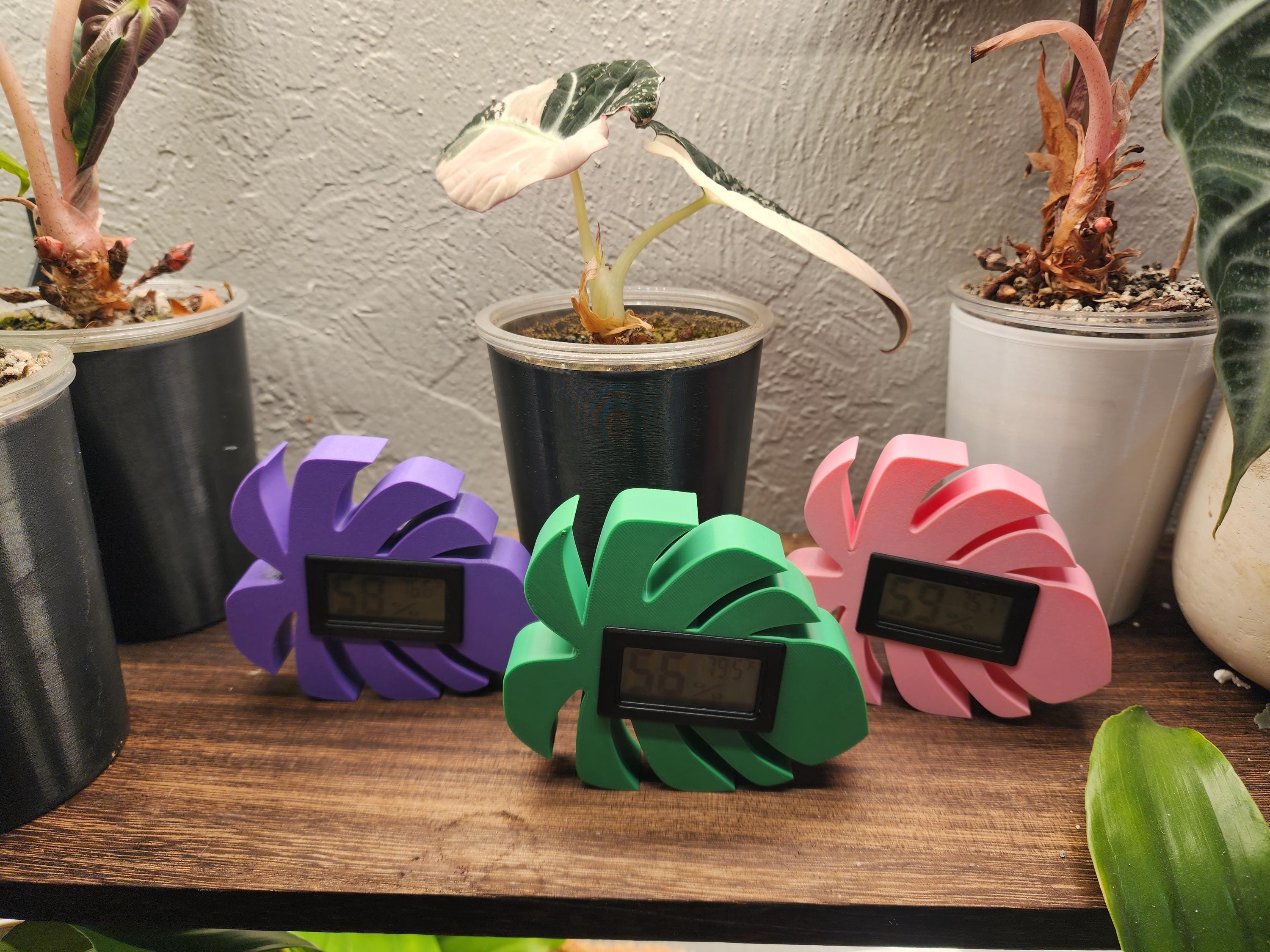 Leaf-Shaped Monstera Alocasia hygrometer Ideal Accessory for IKEA Rudsta, Milsbo, and Greenhouse Cabinets Now holiday themes