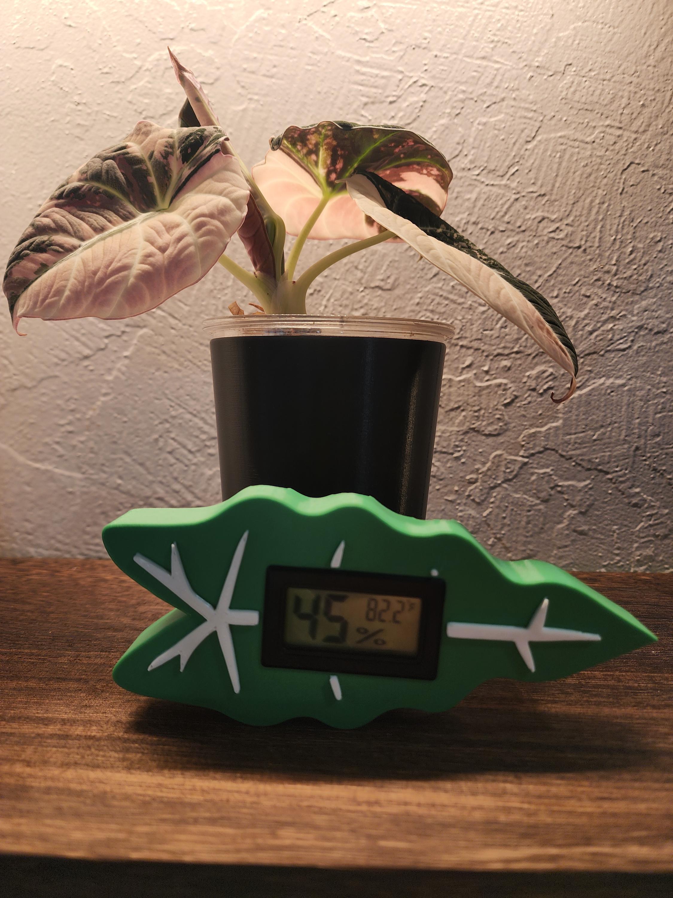 Leaf-Shaped Monstera Alocasia hygrometer Ideal Accessory for IKEA Rudsta, Milsbo, and Greenhouse Cabinets Now holiday themes