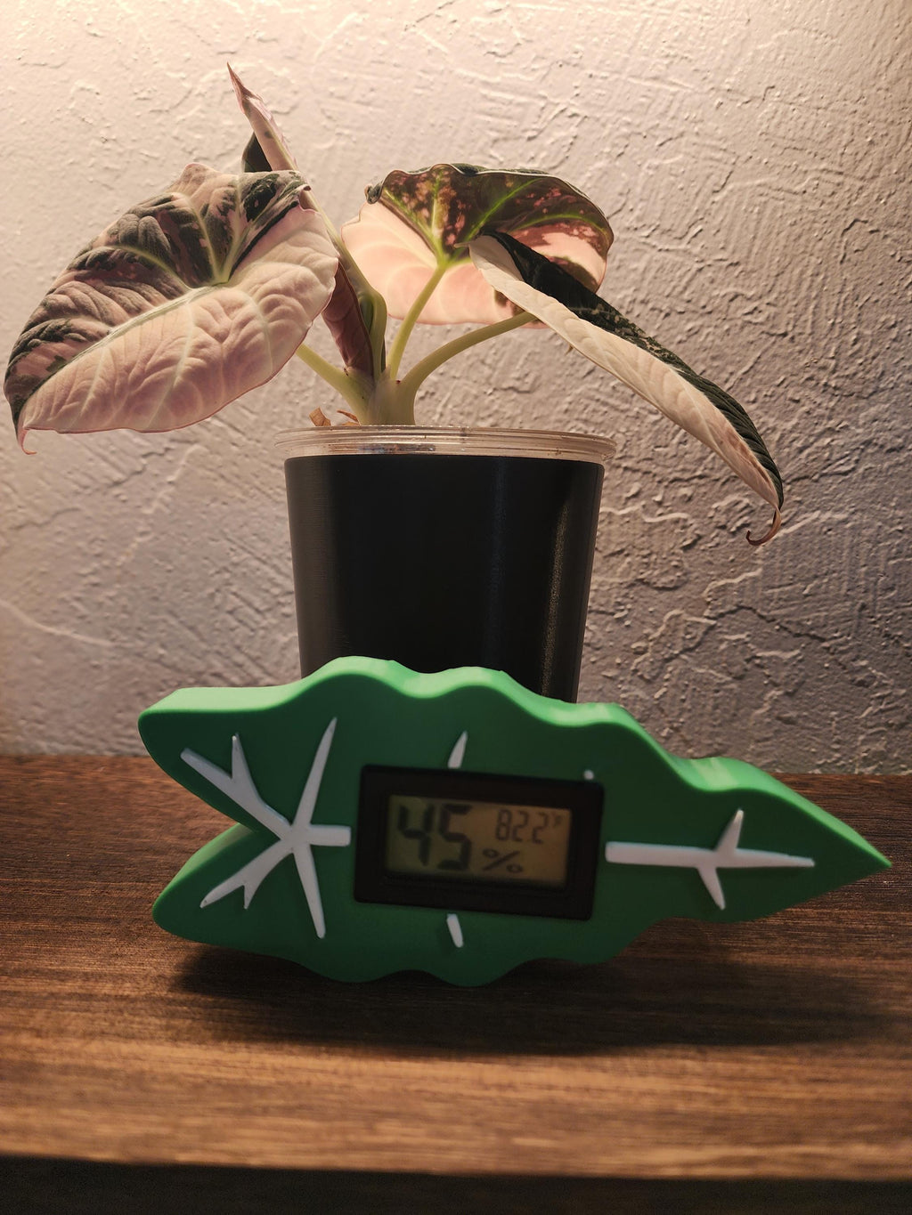 Leaf-Shaped Monstera Alocasia hygrometer Ideal Accessory for IKEA Rudsta, Milsbo, and Greenhouse Cabinets Now holiday themes