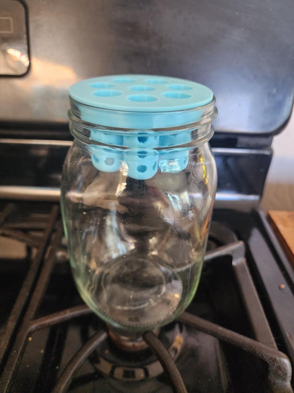 Green Onion, Lettuce, Celery  Regrow Kit for Wide Mouth Jars | Indoor Kratky Hydroponics | Kitchen Herb Garden | Propagation | Pothos