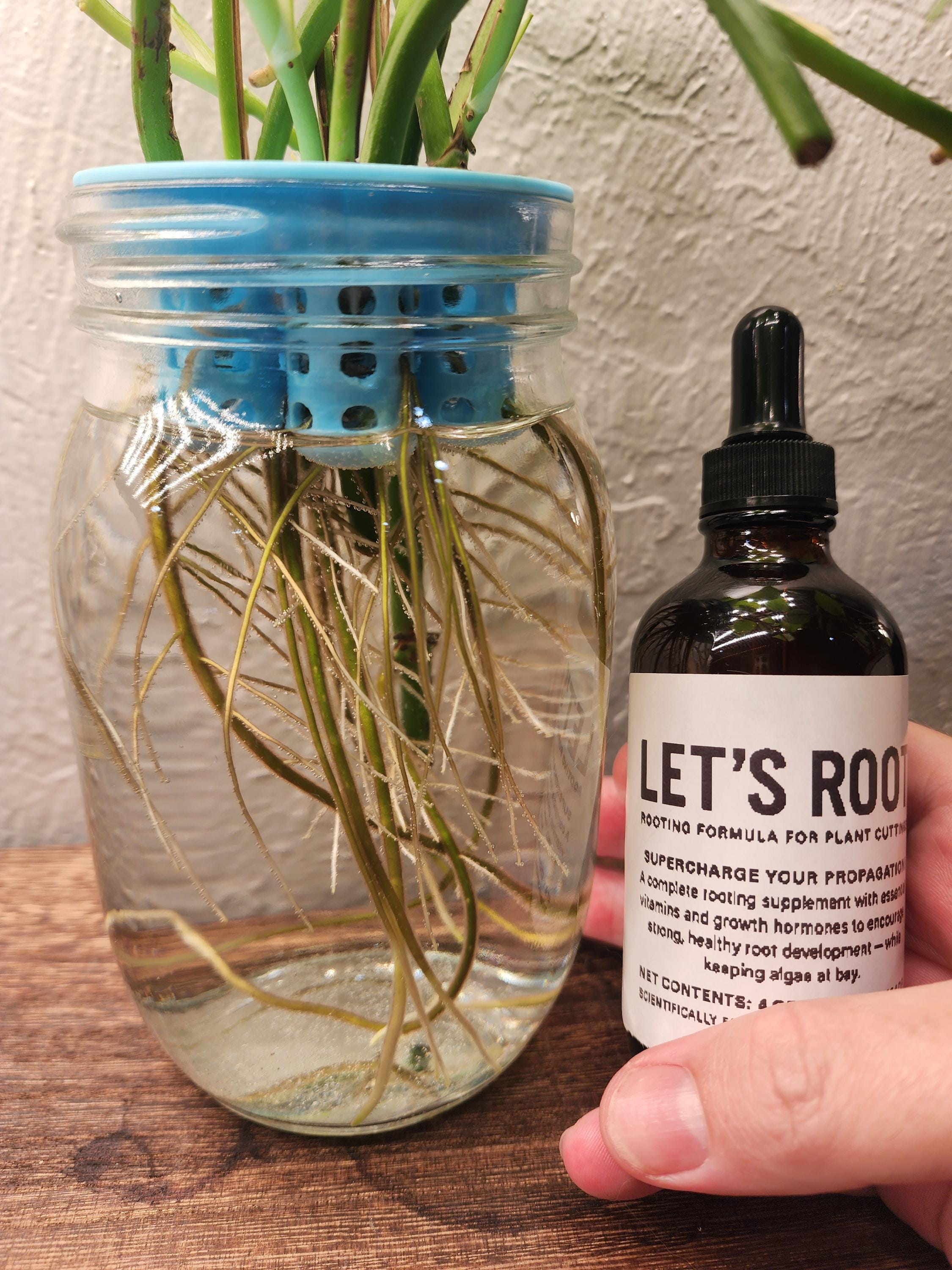 Plant Cutting Rooting Formula: Tropical Propagation Supplement, 4 oz