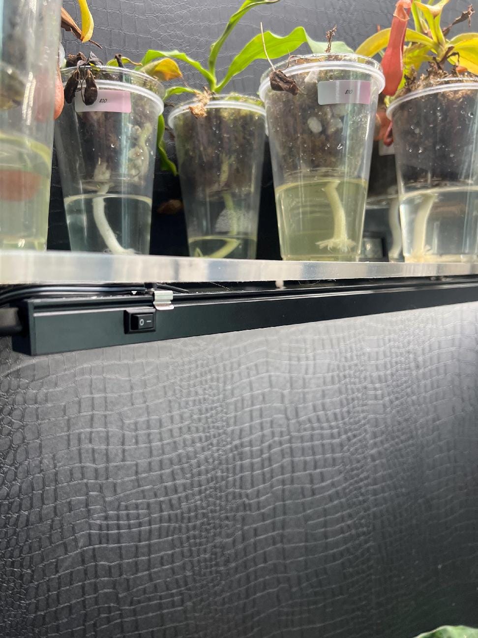 Ikea Greenhouse Grow Light Mounts (8 Pack) - Milsbo/Fabrikor, Barrina Lights