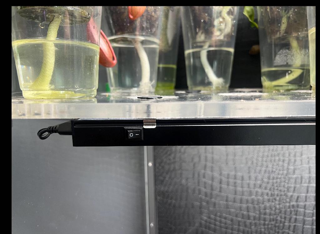 Ikea Greenhouse Grow Light Mounts (8 Pack) - Milsbo/Fabrikor, Barrina Lights