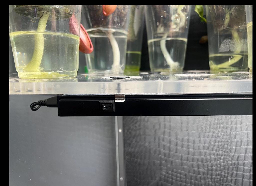 Ikea Greenhouse Grow Light Holders (8 Pack) | Acrylic Light Mounts for Milsbo/Fabrikor Cabinets | Plant Shelf Clips