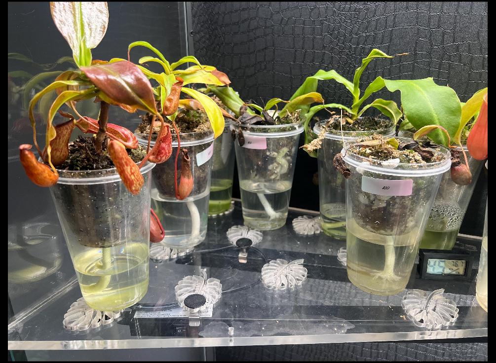 Ikea Greenhouse Grow Light Holders (8 Pack) | Acrylic Light Mounts for Milsbo/Fabrikor Cabinets | Plant Shelf Clips