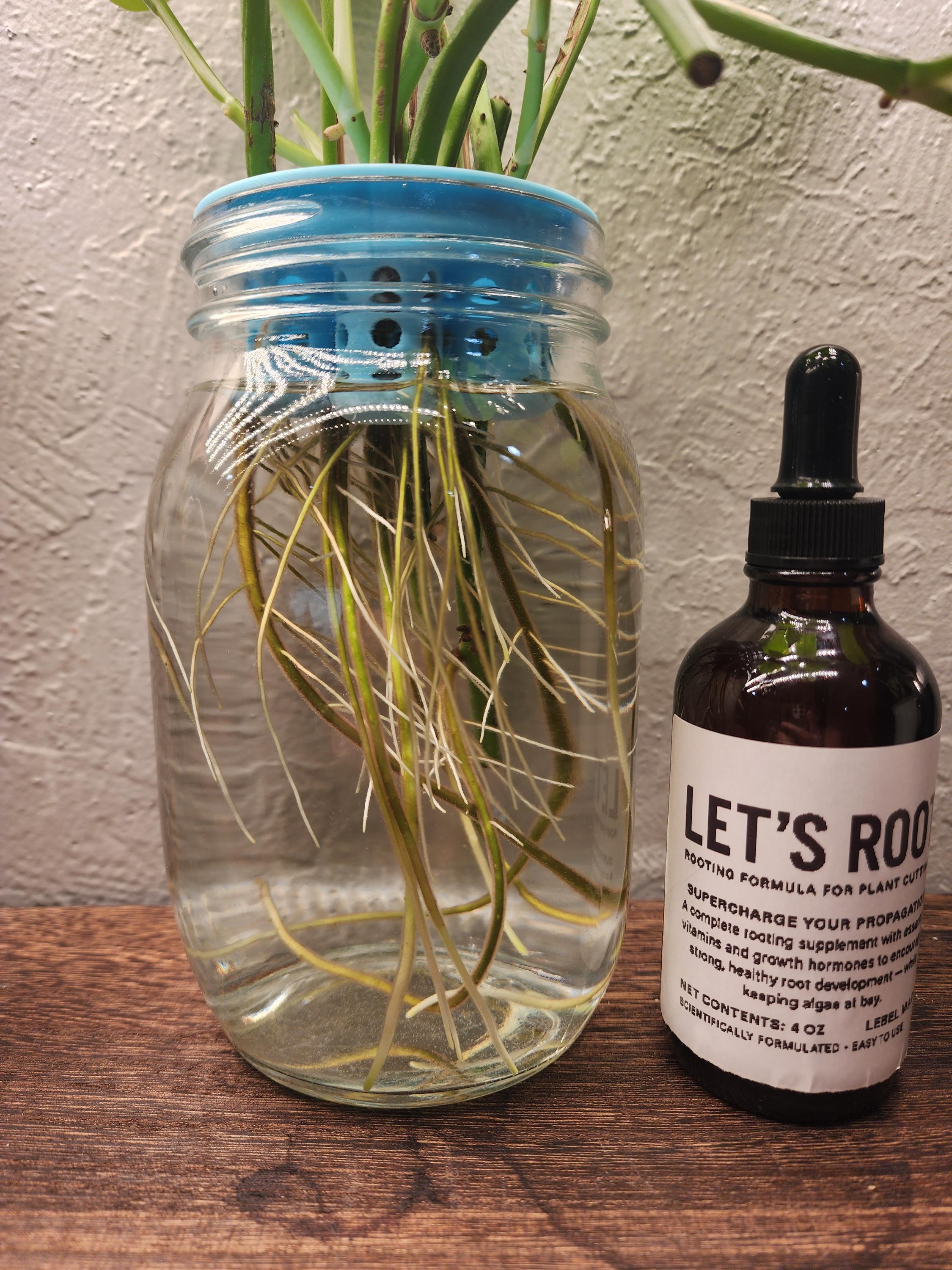 Plant Cutting Rooting Formula: Tropical Propagation Supplement, 4 oz
