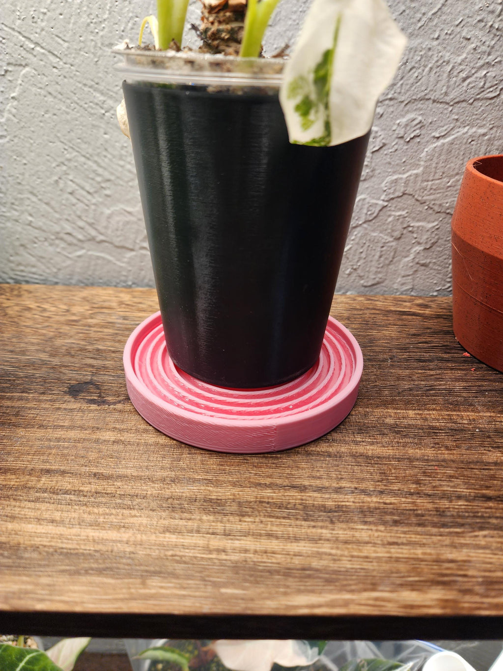 Spiral Plant Tray | Humidity Tray & Drainage Saucer | Modern Plant Plate for Indoor Pots