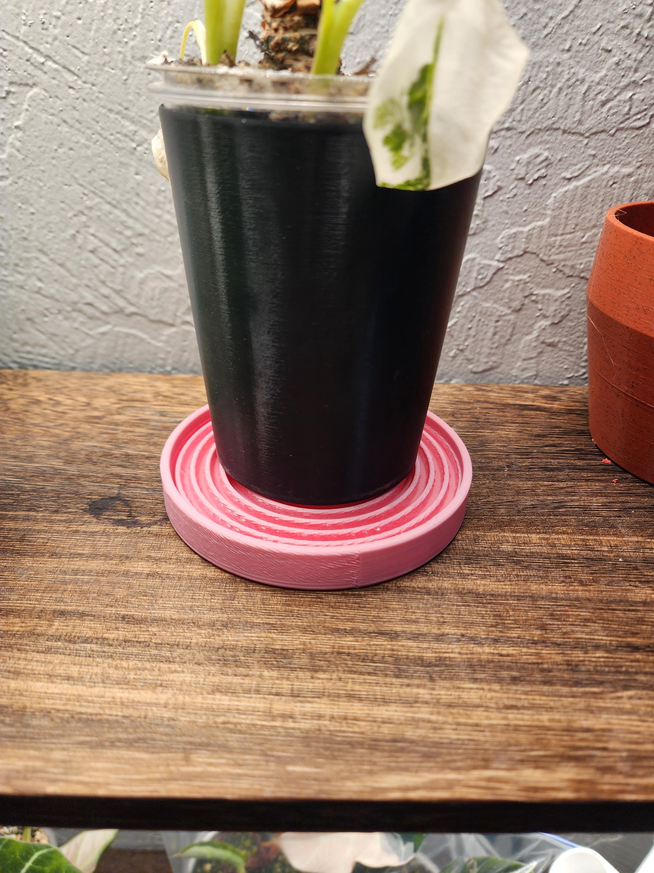 Spiral Plant Tray | Humidity Tray & Drainage Saucer | Modern Plant Plate for Indoor Pots
