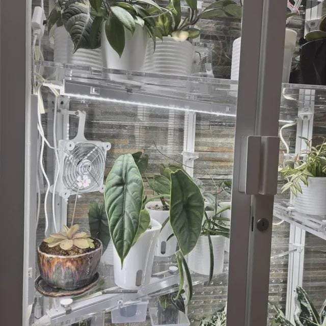 IKEA Milsbo Fan Mount & Shelf Bracket Combo | 80mm 120mm Plant Cabinet Fan Holder | Greenhouse Airflow Cooling | PETG Corner Mount
