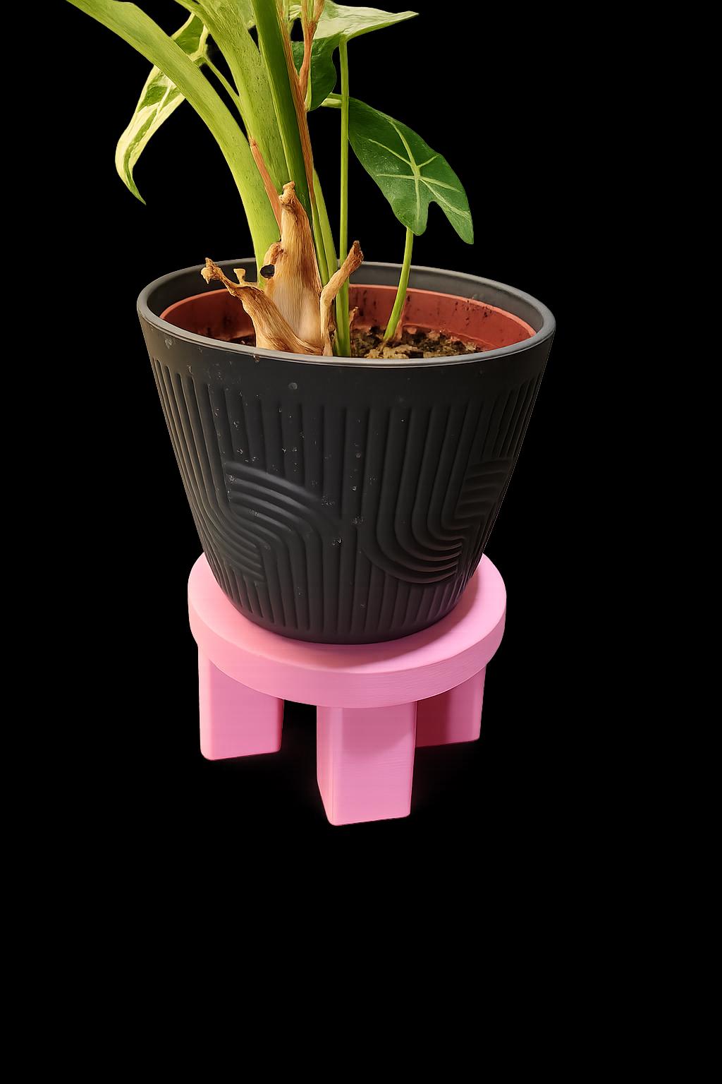 Indoor Plant Stand for Small Pots | Modern Arch Planter Stand | Cute Houseplant Decor | Gift for Plant Lovers