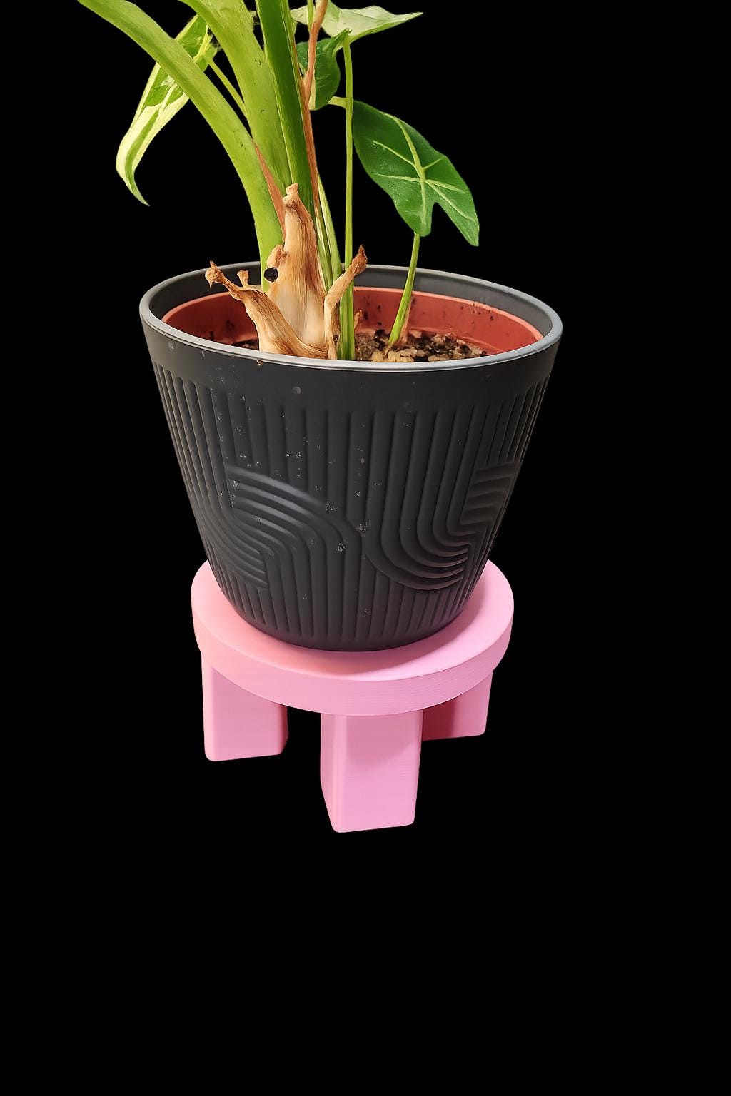 Indoor Plant Stand for Small Pots | Modern Arch Planter Stand | Cute Houseplant Decor | Gift for Plant Lovers