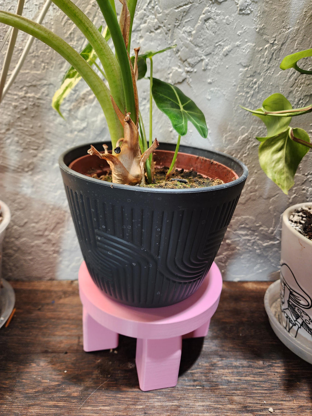 Indoor Plant Stand for Small Pots | Modern Arch Planter Stand | Cute Houseplant Decor | Gift for Plant Lovers