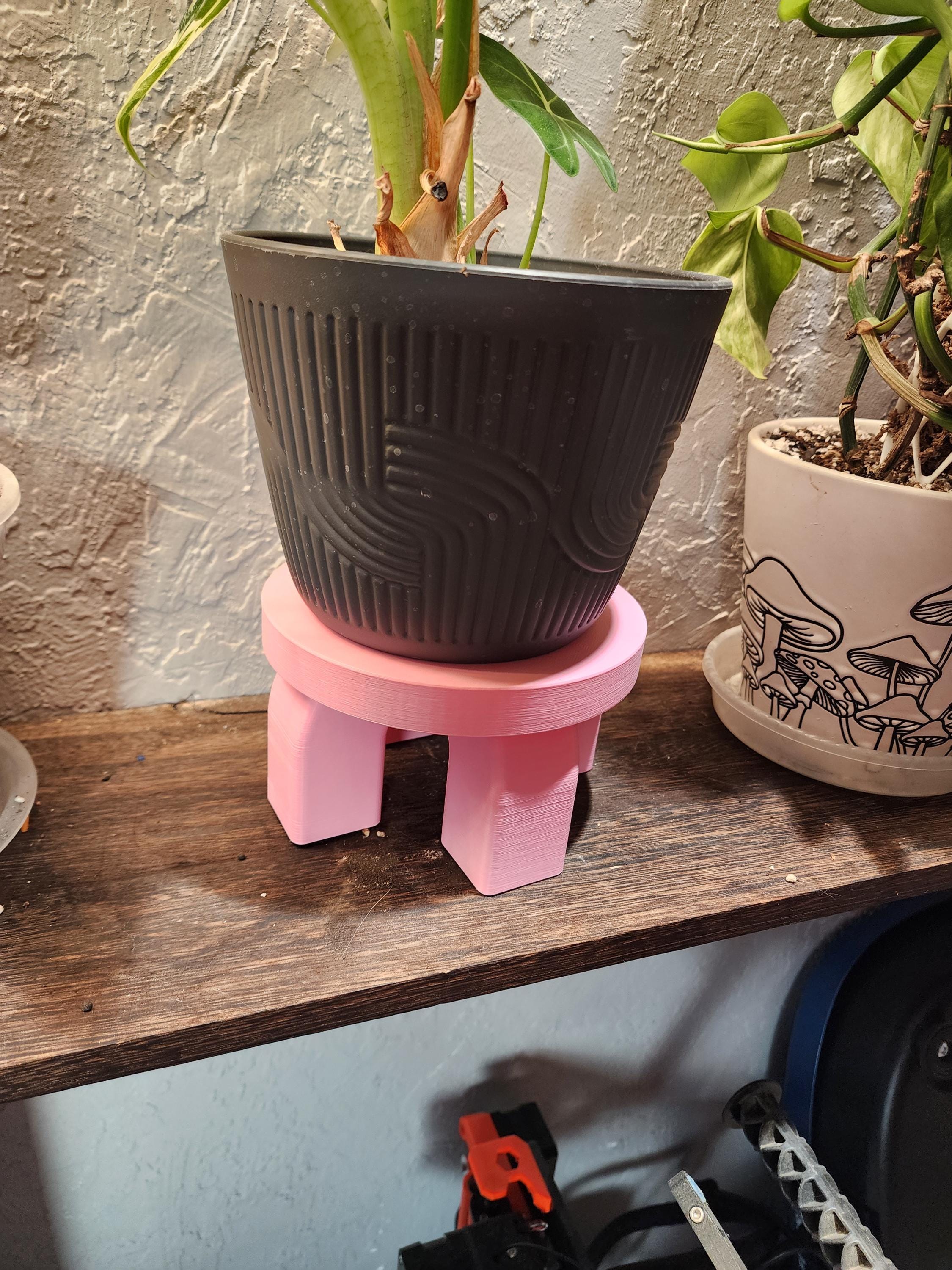 Indoor Plant Stand for Small Pots | Modern Arch Planter Stand | Cute Houseplant Decor | Gift for Plant Lovers