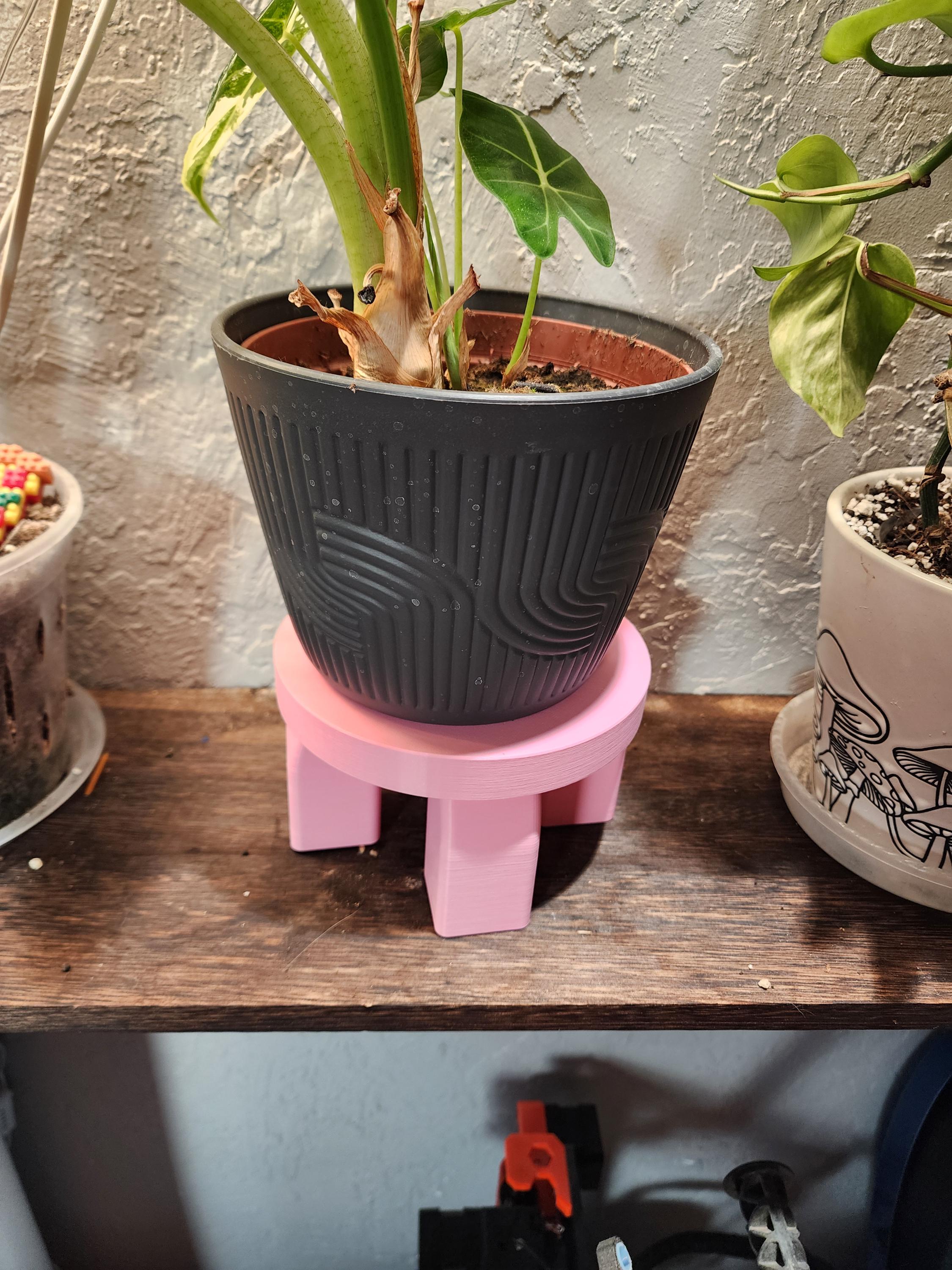 Indoor Plant Stand for Small Pots | Modern Arch Planter Stand | Cute Houseplant Decor | Gift for Plant Lovers