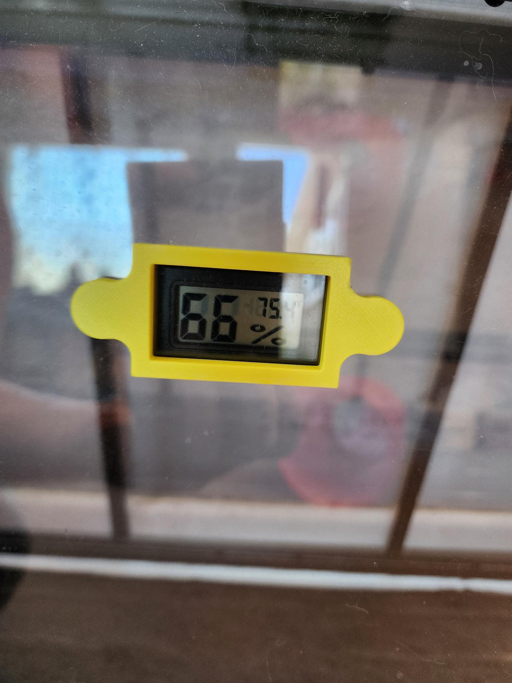 Jumping Spider Hygrometer | Reptile Tank Humidity Gauge | Gecko & Lizard Terrarium | Greenhouse Accessory