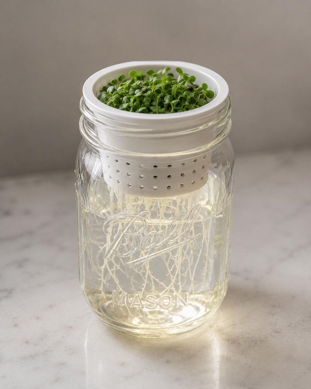 1 Wide Mouth Mason Jar Microgreen Grower Insert Fits Ball Mason Jars Sprouting Tray for Pea, Radish, Sunflower & More Reusable Seed Starter