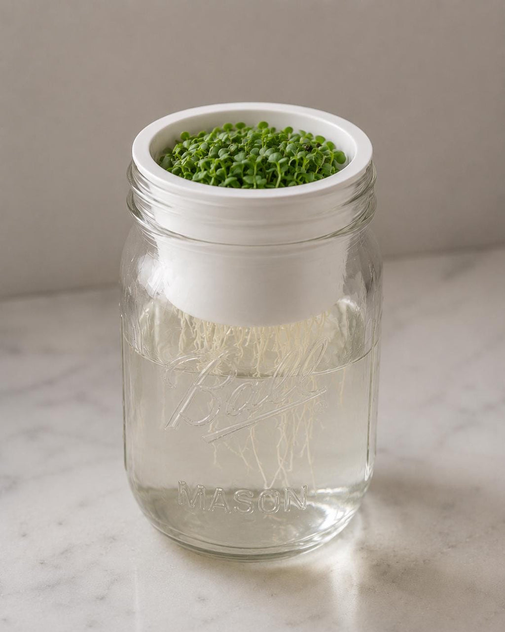 1 Wide Mouth Mason Jar Microgreen Grower Insert Fits Ball Mason Jars Sprouting Tray for Pea, Radish, Sunflower & More Reusable Seed Starter