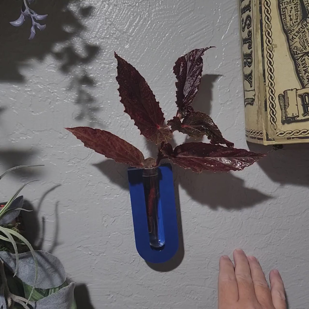 Wall Mount Plant Propagation Planter: Boho Decor with Glass Tube