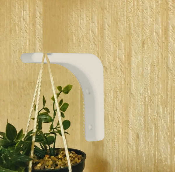 Wall hook for hanging plants